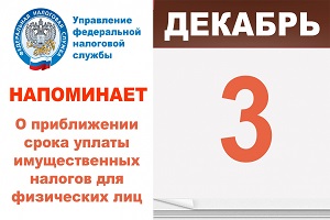 Срок уплаты налогов 3 декабря